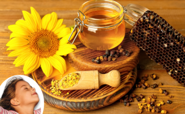 Bronhitisi, kašalj i respiratorne bolesti – prirodna pomoć uz pčelinje produkte