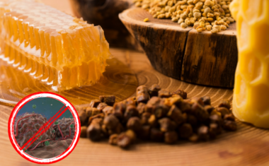 Jačanje imuniteta pomoću pčelinjih produkata kod onkoloških slučajeva – antitumorsko djelovanje propolisa